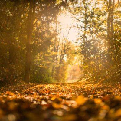 万博max体育(ManBetX)